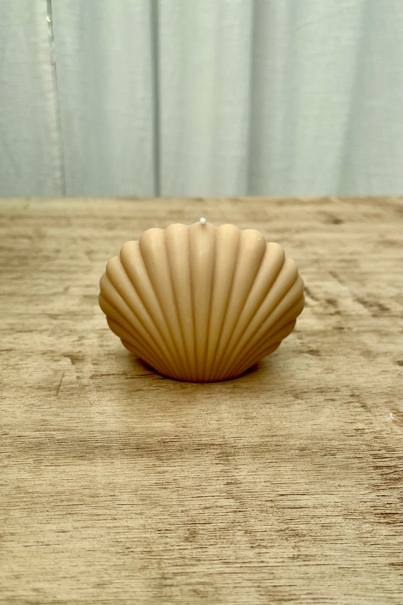 Shell Candle Beige